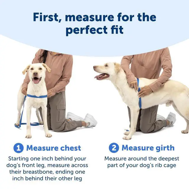 Alt view image 5 of 7 - Easy Walk Harness, No Pull Dog Harness, Medium, Raspberry