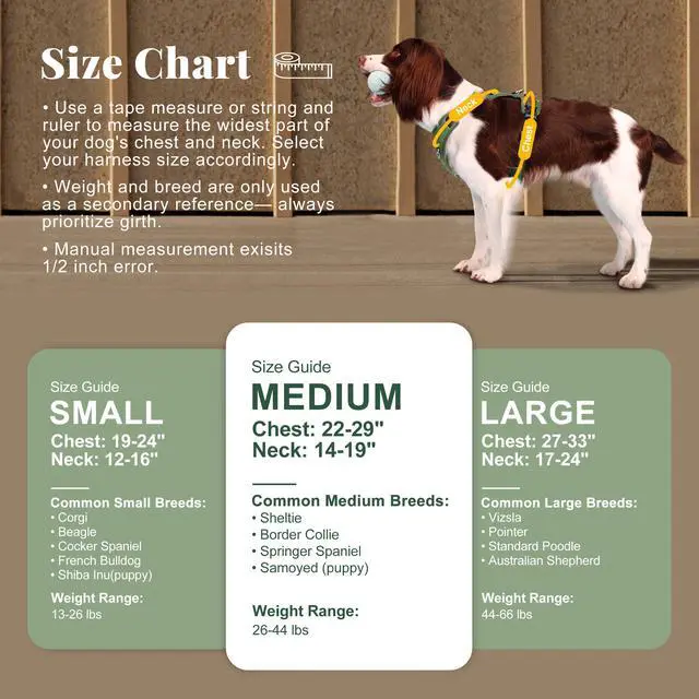 Alt view image 5 of 7 - No Pull Dog Harness for Medium Dogs, Classic PU Leather, Green, M