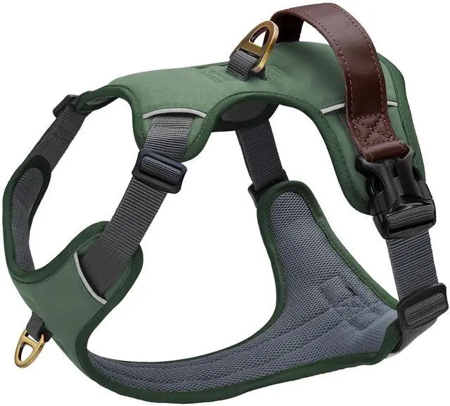 Main image of No Pull Dog Harness for Medium Dogs, Classic PU Leather, Green, M