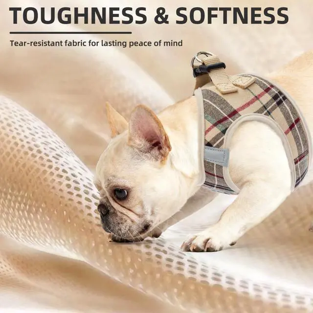 Alt view image 6 of 7 - Dog Harness, Collar and Leash Set No Pull for Small Medium Sized