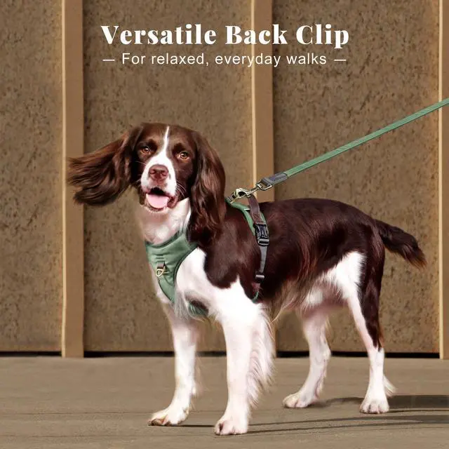 Alt view image 3 of 7 - No Pull Dog Harness for Medium Dogs, Classic PU Leather, Green, M