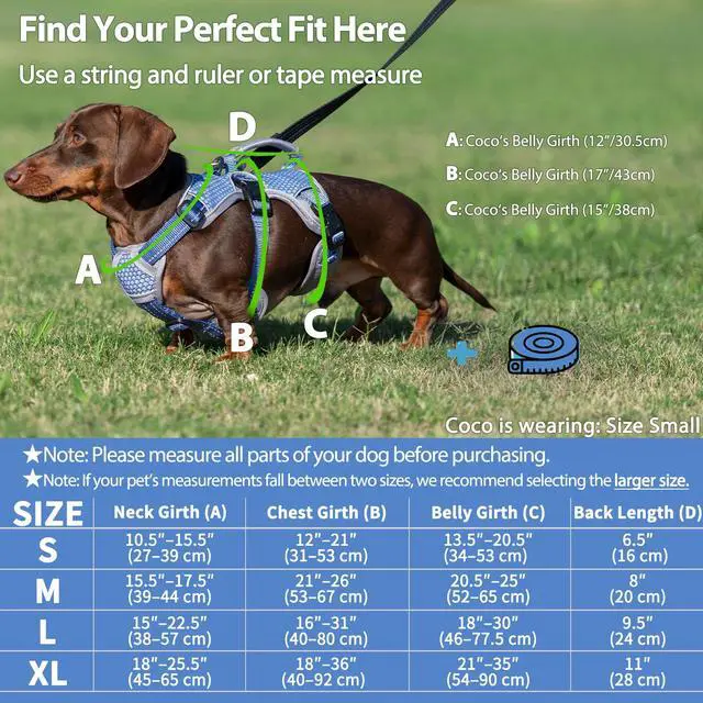 Alt view image 6 of 7 - Escape Proof Dog Harness, Dachshund Harness, Reflective Dog Harness with Handle, Durable,Adjustable Vest for Small Medium Large Dogs Walking, Training, and Running Gear (Technicolor Blue,S)