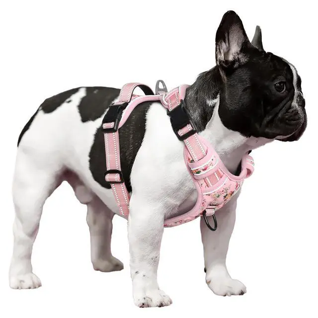 Alt view image 6 of 7 - Small Dog Harness, No Pull No Choke, Easy On & Off, Flower Pink, S