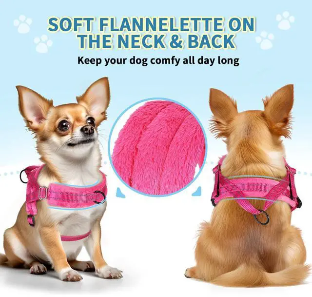 Alt view image 2 of 7 - No Pull Small Dog Harness and Leash Set with Front Clip