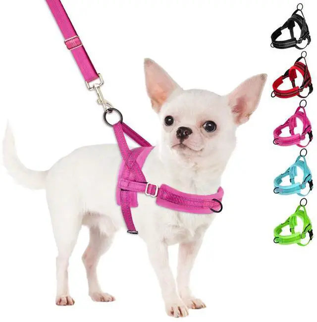 Main image of No Pull Small Dog Harness and Leash Set with Front Clip