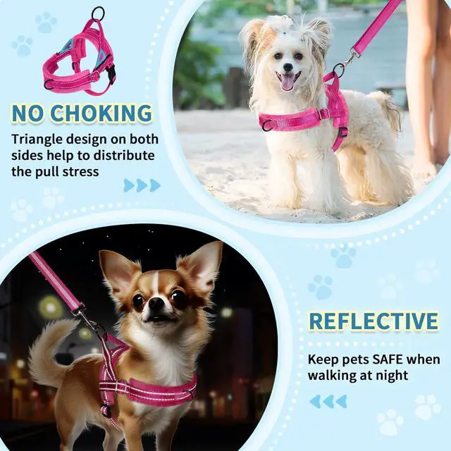 Alt view image 3 of 7 - No Pull Small Dog Harness and Leash Set with Front Clip