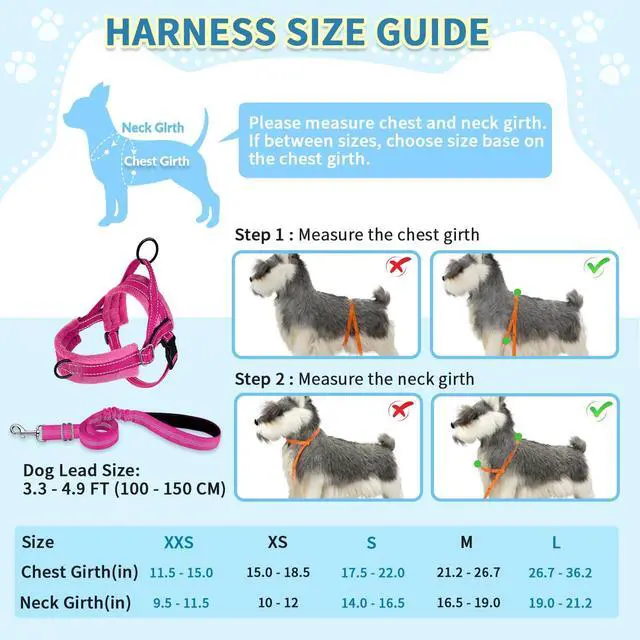 Alt view image 5 of 7 - No Pull Small Dog Harness and Leash Set with Front Clip