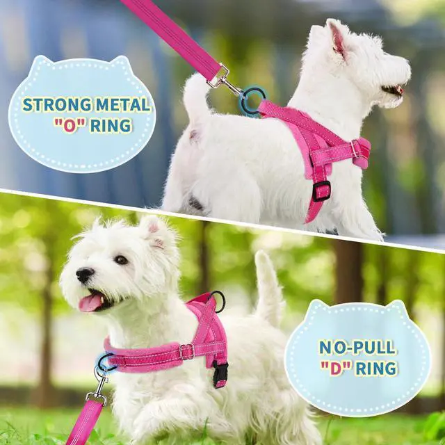 Alt view image 4 of 7 - No Pull Small Dog Harness and Leash Set with Front Clip
