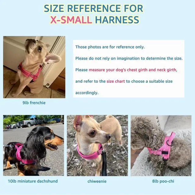 Alt view image 6 of 7 - No Pull Small Dog Harness and Leash Set with Front Clip
