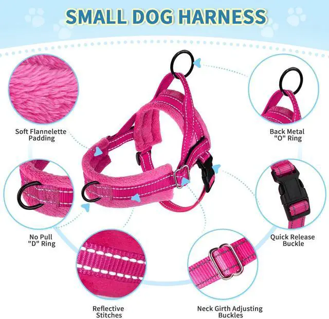 Alt view image 7 of 7 - No Pull Small Dog Harness and Leash Set with Front Clip