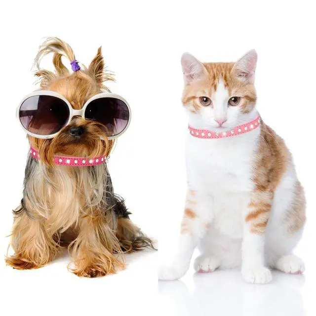 Alt view image 3 of 7 - Rhinestone Dog Collars for Small Dogs Female Bling Diamond Cat Collar XS