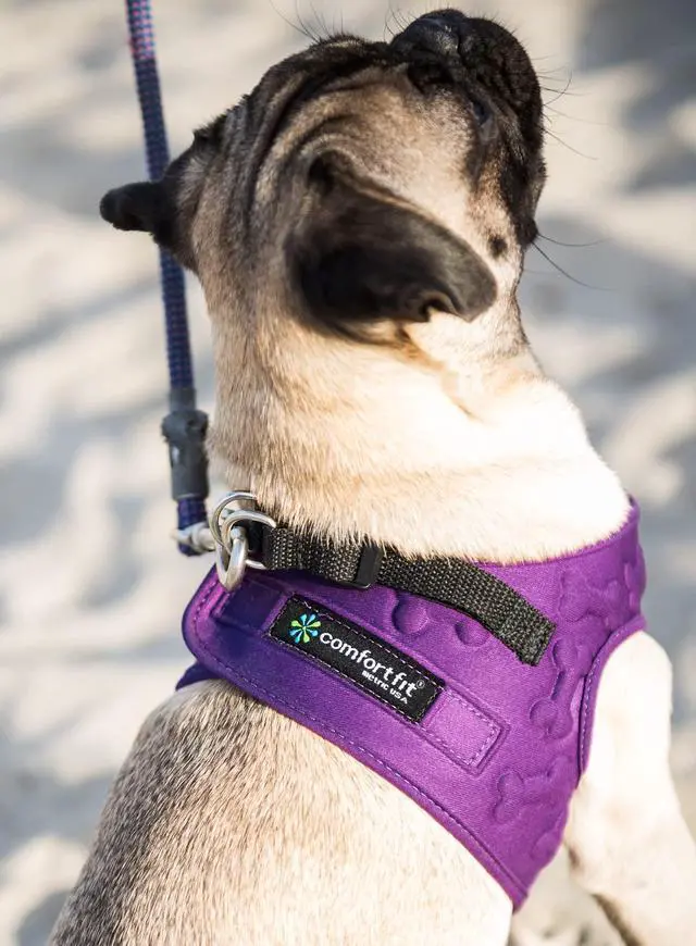 Alt view image 5 of 6 - Comfort Fit Dog Harness No Pull No Escape Harness Adjustable Buckles Soft Padded Reflective Choke Step in Dog Vest with Easy Control Handle for Small Medium Large Dogs & Puppies