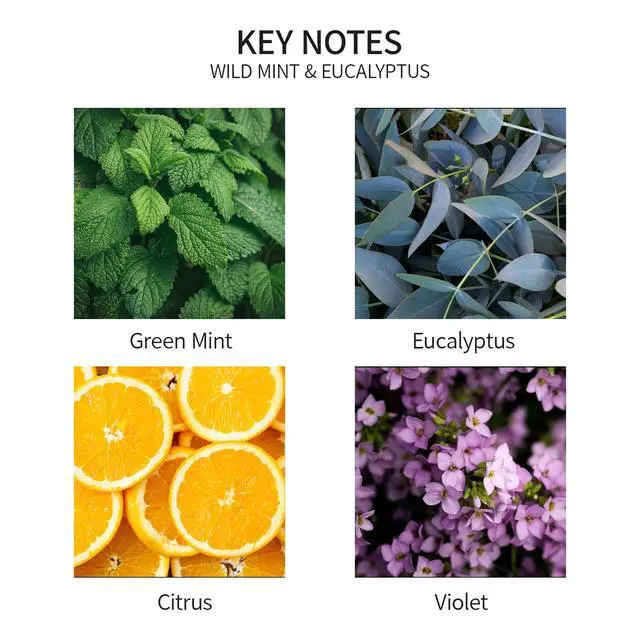 Alt view image 7 of 7 - Reed Diffuser Set, 3.38 fl oz (100 ml) - Wild Mint&Eucalyptus Oil Diffusers with 8 Reed Sticks, Home Fragrance Reed Diffuser for Bathroom Shelf Decor