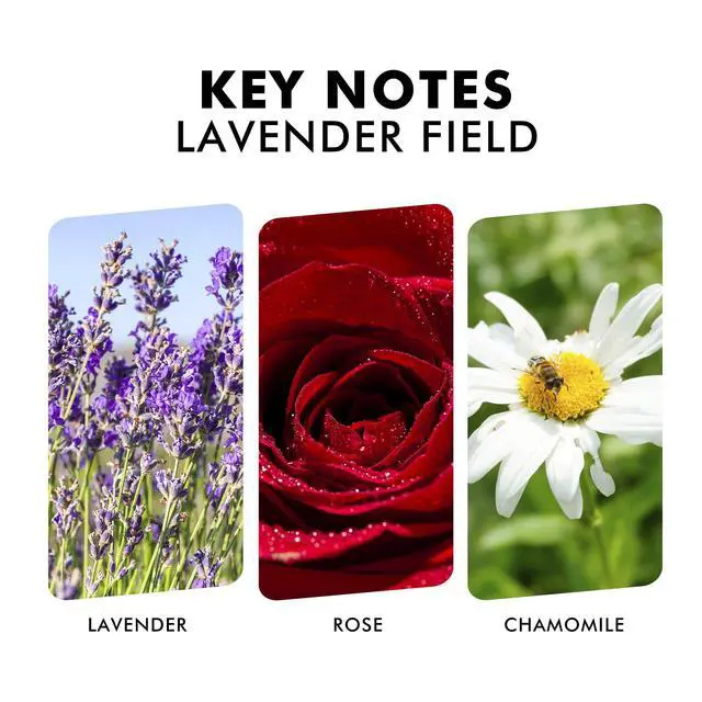 Alt view image 3 of 6 - Reed Diffuser Set, Lavender Field Oil Diffuser with Sticks, Long-Lasting Home Fragrance Reed Diffusers for Bathroom Shelf Office Decor, Luxury Air Fresheners 3.7 oz(110ml)