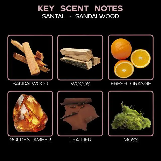 Alt view image 2 of 7 - Reed Diffuser Set, Santal (Sandalwood) Scented Oil Diffuser with Sticks, Home Fragrance Accessories for Bathroom Shelf Decor, Diffusers for Home or Office Fall Decor, USA Made