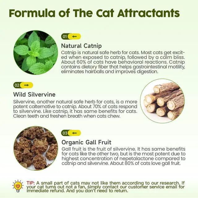 Alt view image 5 of 6 - Catnip Toys, 3Pcs Cat Toys Natural Silvervine Stick Cage Balls & Bell Ball for Indoor Cats, Kitten Cleaning Teeth Molar Matatabi Cat Chew Toy All Breeds
