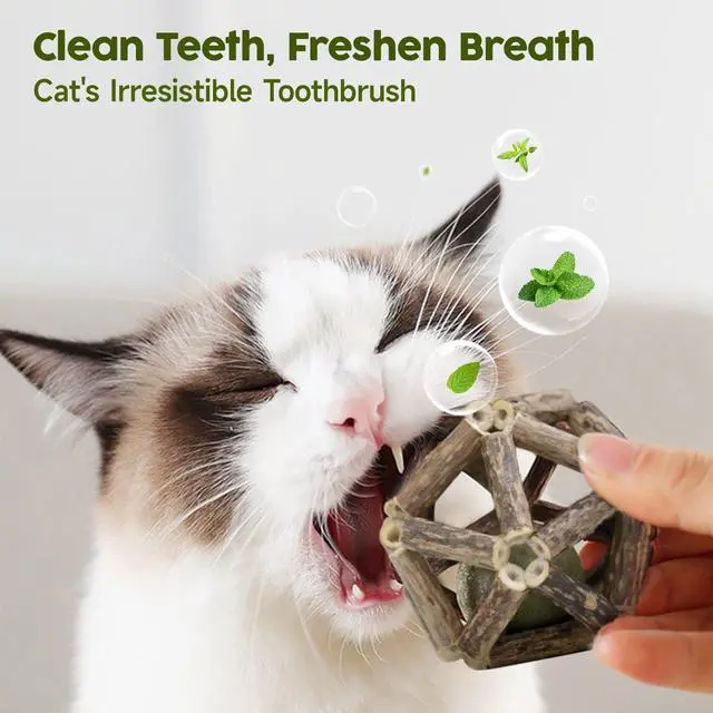 Alt view image 4 of 6 - Catnip Toys, 3Pcs Cat Toys Natural Silvervine Stick Cage Balls & Bell Ball for Indoor Cats, Kitten Cleaning Teeth Molar Matatabi Cat Chew Toy All Breeds