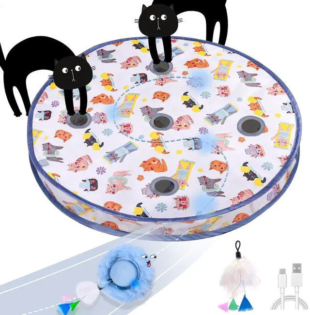 Main image of Interactive Cat Toys Ball, Automatic Fast Rolling Ball in Pouch, Hide and Seek for Indoor Cats, Motion Chirping Activated Moving Toy, 5 Holes Mat Mouse Catching Game