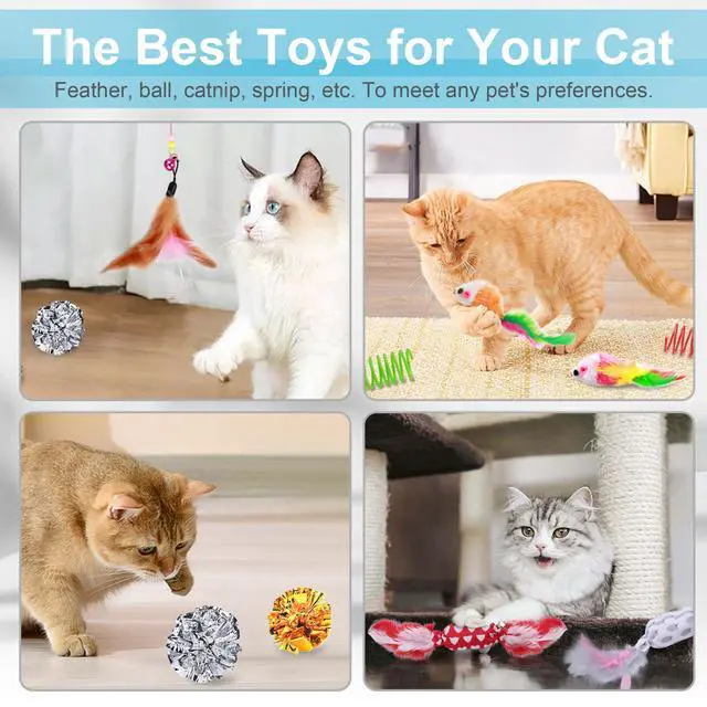 Alt view image 3 of 6 - 24 PCS Cat Toys Set with Teaser, Mice, Spring, and Various Ball Toys