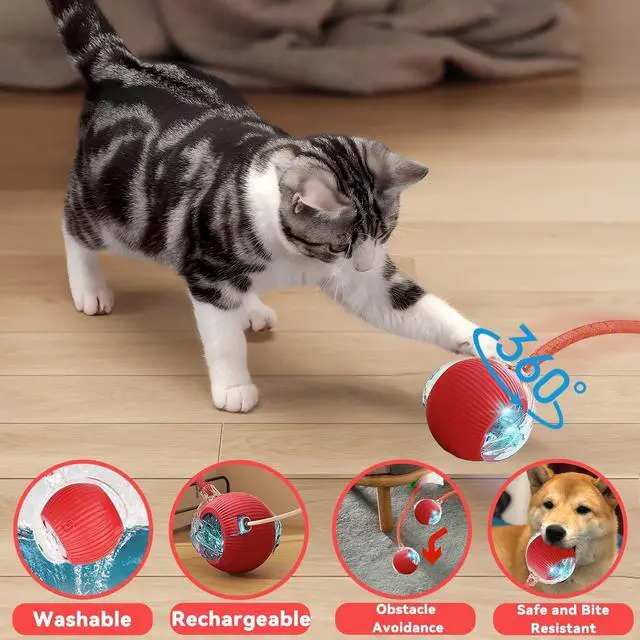 Alt view image 5 of 7 - Speedy 2.0 Tail 2 Packs Interactive Cat Toys for Indoor Cats, Automatic Cat Toy with Elastic Mesh Tail, Electric Rolling Ball on Carpet, Chirping and Motion Activate Cat