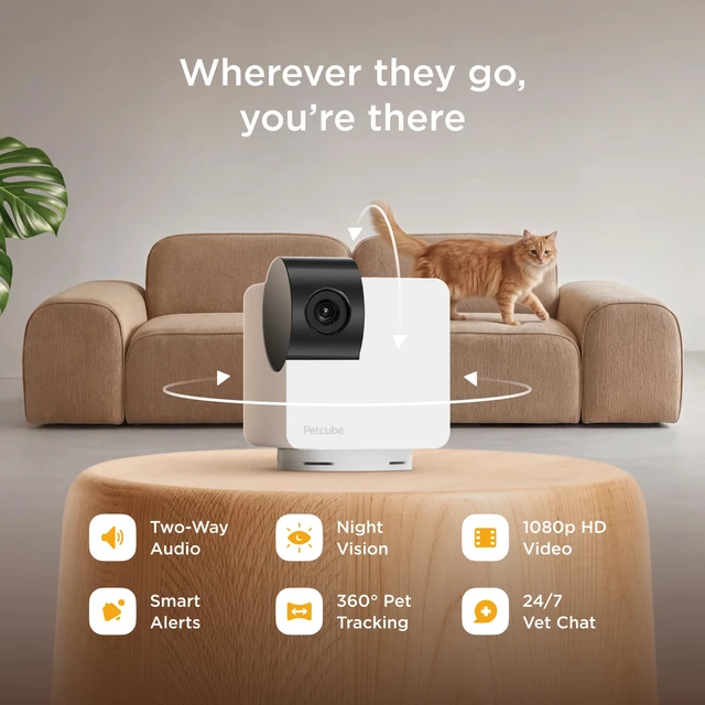 Alt view image 2 of 7 - Cam 360 Wi-Fi Pan-Tilt Pet Security Camera with App | No subscription required, 1080p HD video, 360° rotation, night vision, AI alerts for dog, cat & home monitoring
