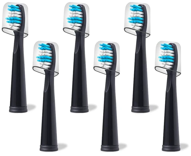 Main image of Compatible with TEETHEORY Electric Toothbrush Replacement Heads, for TEETHEORY Electric Toothbrush,Black