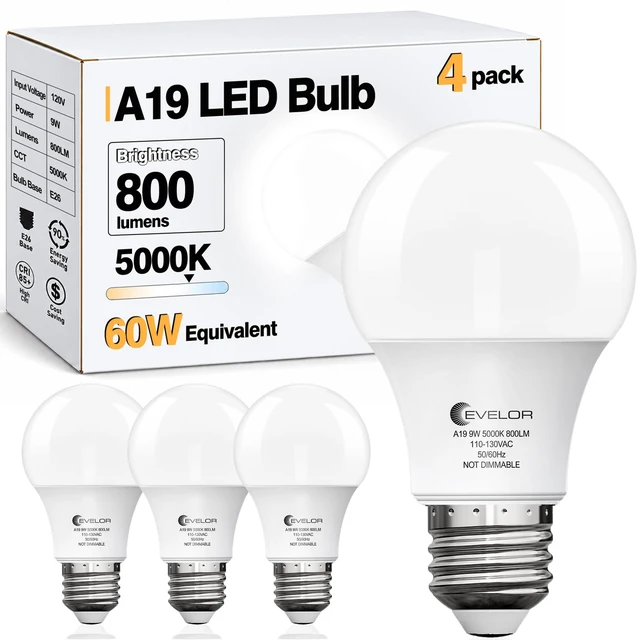 Main image of A19 LED Light Bulbs,60 Watt Equivalent,Daylight 5000K,4-Pack | E26 Base,Efficient 9W,800 Lumens Non-Dimmable LED Bulbs,15000 Hours, Ideal for Bedroom Living Room
