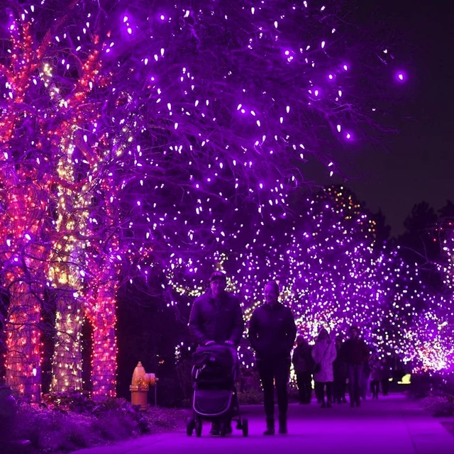 Alt view image 3 of 7 - Halloween 300 LED String Lights, 100FT Connectable String Lights with 8 Lighting Modes, Halloween Decorations for Party Carnival Supplies, Indoor Outdoor Yard Garden Decor (Purple)