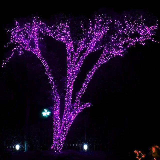Alt view image 5 of 7 - Halloween 300 LED String Lights, 100FT Connectable String Lights with 8 Lighting Modes, Halloween Decorations for Party Carnival Supplies, Indoor Outdoor Yard Garden Decor (Purple)