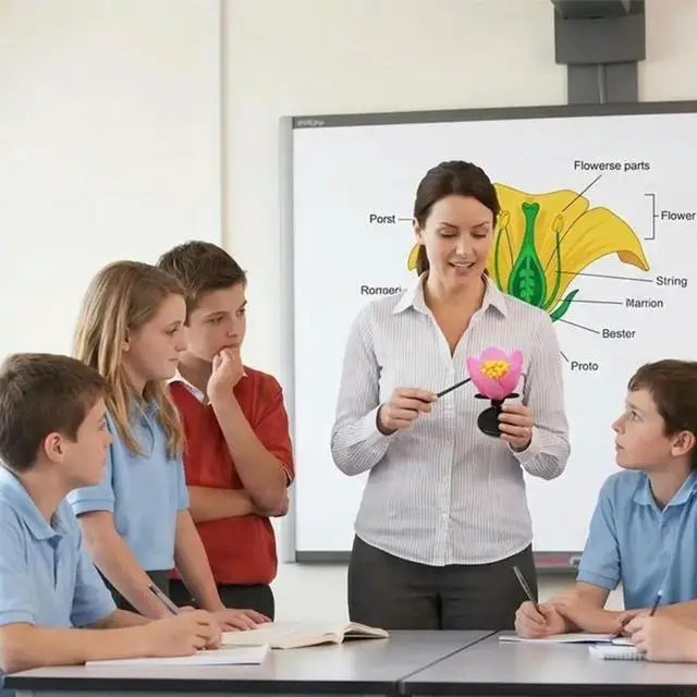 Main image of Magnified Peach Blossom Model With Visible Stamen And Pistil Parts For School Classroom Teaching Demonstration