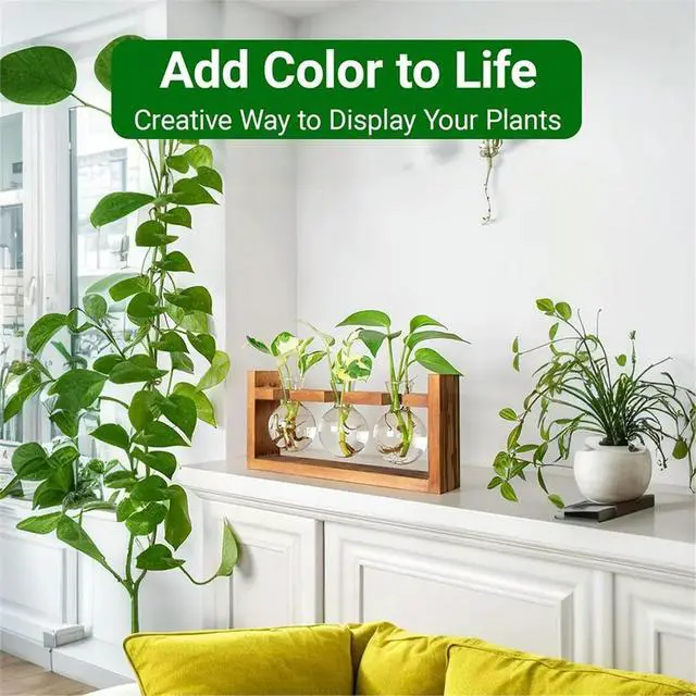 Alt view image 2 of 6 - Glass Plant Terrarium 3 Bulbs Propagation Station with Wood Stand Indoor Garden Planter, Hydroponic Vase & Desktop Decor