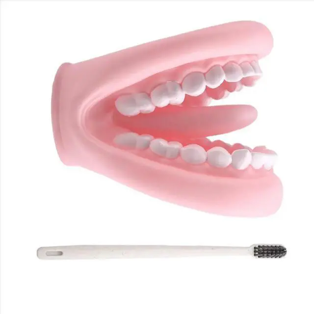 Alt view image 3 of 6 - Mouth Puppet with Tongue Teeth Mouth Hand Puppet Dental Mouth Model with Toothbrush for Boy Girl Educational Tool