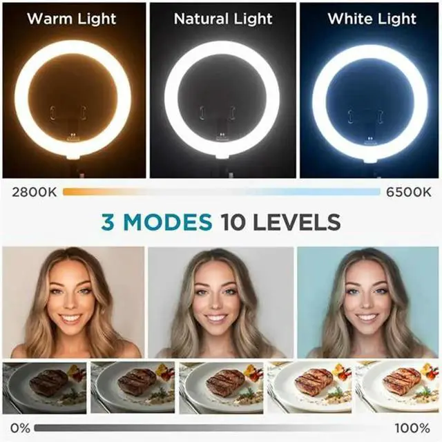 Main image of Overhead Phone Mount with Ring Light, 10" LED Selfie Ring Light for Desk with Phone Holder and Remote Canvas Lamp