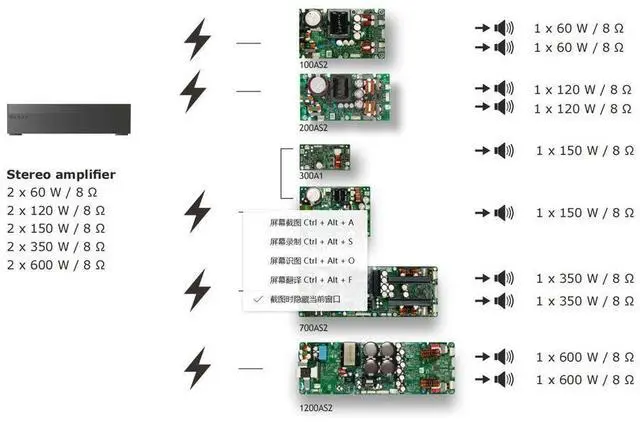 Alt view image 2 of 6 - Danish ICEPOWER 300AS1 power amplifier module HIFI board mono power amplifier board