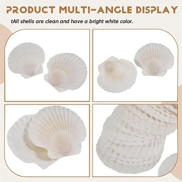 Main image of 25pcs Large Scallop Shells for Crafts 4inch - 5inch White Scallop Shells Crafts DIY Painting Beach Party Decoration