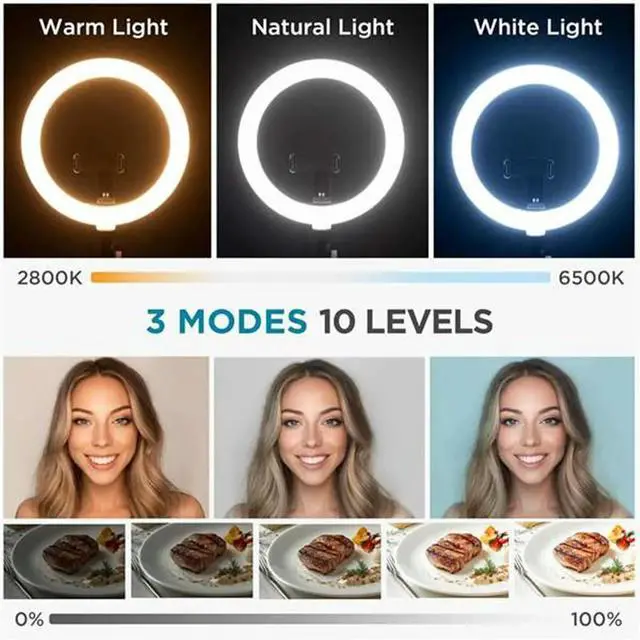 Alt view image 4 of 6 - Overhead Phone Mount with Ring Light, 10" LED Selfie Ring Light for Desk with Phone Holder and Remote Canvas Lamp