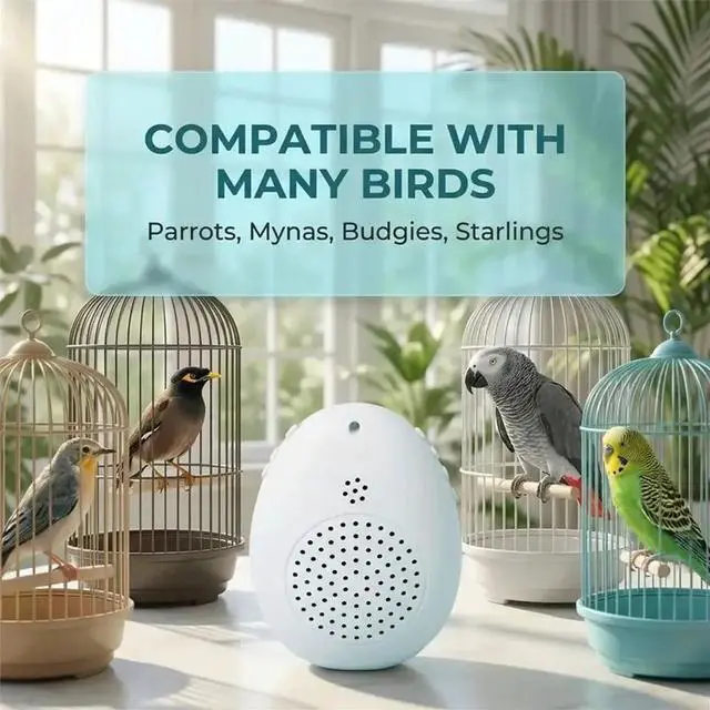 Main image of Recording Bird Learning Machine Interactive Parrot Talking Trainer, Timer-Controlled Multi-Segment Audio Playback Device
