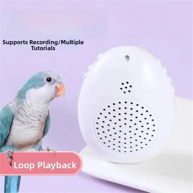 Alt view image 2 of 3 - Recording Bird Learning Machine Interactive Parrot Talking Trainer, Timer-Controlled Multi-Segment Audio Playback Device