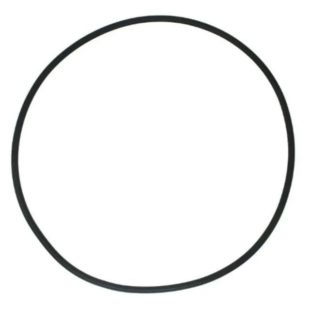 Alt view image 2 of 3 - Filter Replacement Silicone Seal Filter System Repair Compact Size Easy Installation Efficient Sealing For Hayward C100S