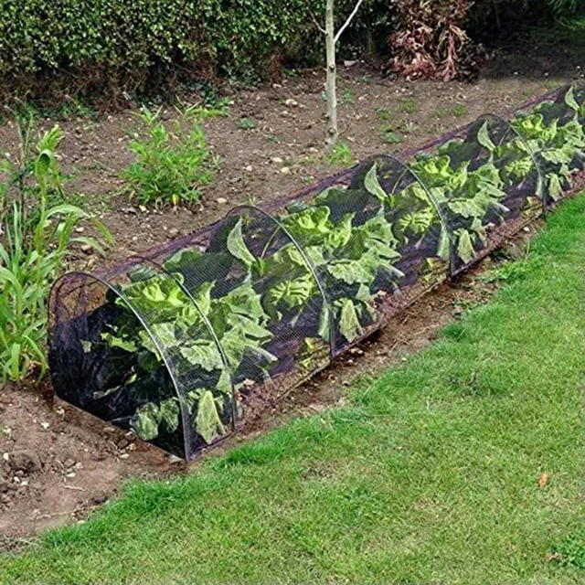 Alt view image 3 of 3 - Outdoor Gardening Black Planting Tunnel Versatile Gardening Solution Vegetable Protection Controlled Ventilation