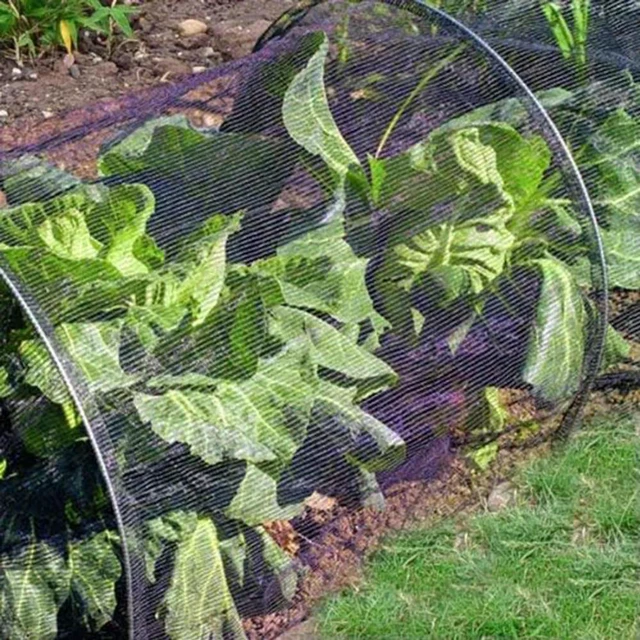 Alt view image 2 of 3 - Outdoor Gardening Black Planting Tunnel Versatile Gardening Solution Vegetable Protection Controlled Ventilation