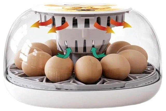 Alt view image 4 of 6 - 12 Egg Capacity Incubator Humidity Control System Poultry Brooder 26*14*26cm 12 Egg Incubator Transparent Thermal Cover