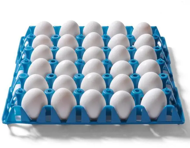 Main image of Reusable Egg Tray Plastic Egg Crates Holds 30 Egg Flats for Home Chicken Farmers, Stackable Egg Cartons are Great for Storing, Sorting, and Shipping Eggs (Color May Vary) (20 Pack)