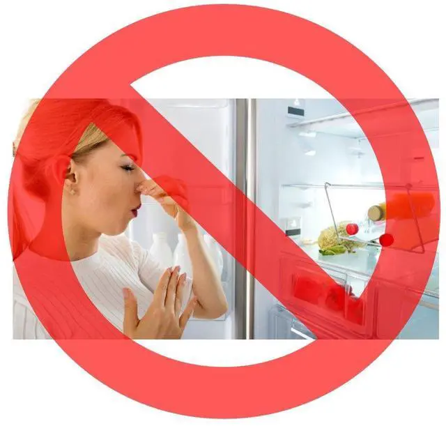 Main image of Refrigerator Air Filter Replacement for Amana 12488101 and Whirlpool 120106 Activated Carbon Made in USA