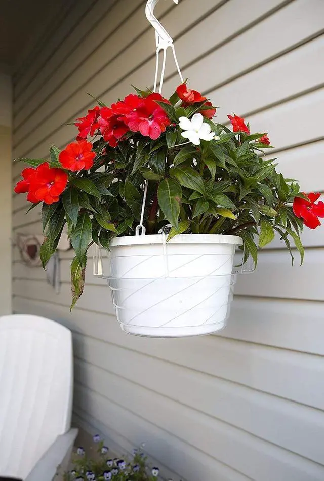 Alt view image 6 of 6 - Hanging Basket Drip Pan, Clear, 12 Inch