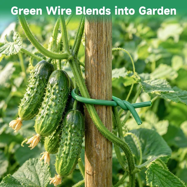 Alt view image 6 of 7 - Green Garden Wire with Pliers - 66 Feet 3.5mm Garden Ties Soft Plant Twist Ties Plant Wire for Climbing Plants Tomatoes Support Vines Vegetables Flowers Indoor & Outdoor Gardening Training