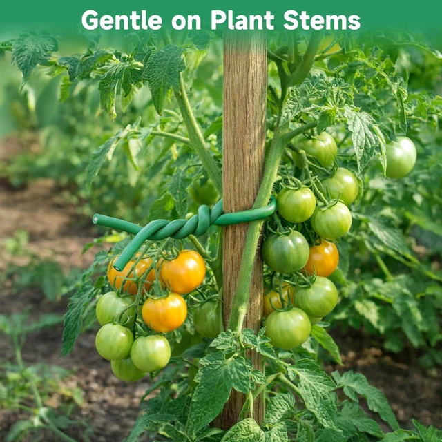 Alt view image 5 of 7 - Green Garden Wire with Pliers - 66 Feet 3.5mm Garden Ties Soft Plant Twist Ties Plant Wire for Climbing Plants Tomatoes Support Vines Vegetables Flowers Indoor & Outdoor Gardening Training
