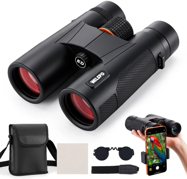 Main image of 10x42 Binoculars with ED Glass for Adults Stable Phone Adapter included, Waterproof, Fogproof, for Bird Watching, Hunting, Hiking and Football Games