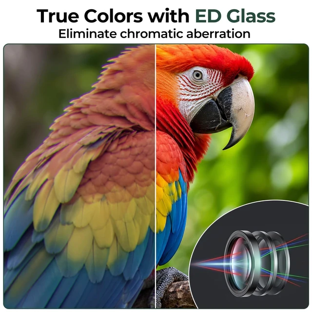 Alt view image 4 of 7 - 10x42 Binoculars with ED Glass for Adults Stable Phone Adapter included, Waterproof, Fogproof, for Bird Watching, Hunting, Hiking and Football Games