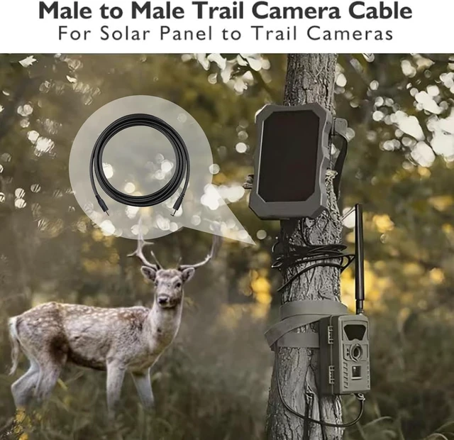 Alt view image 5 of 6 - Chewproof Power Cable for Solar Panel Connector, 5.5x2.1 to 4.0x1.7 Male DC Plug, Compatible with Tactacam Reveal,Stealth Cam,Elusuve Wildlife, WiseEye, Barn Owl, Moultrie & Muddy Trail Cameras, 39"